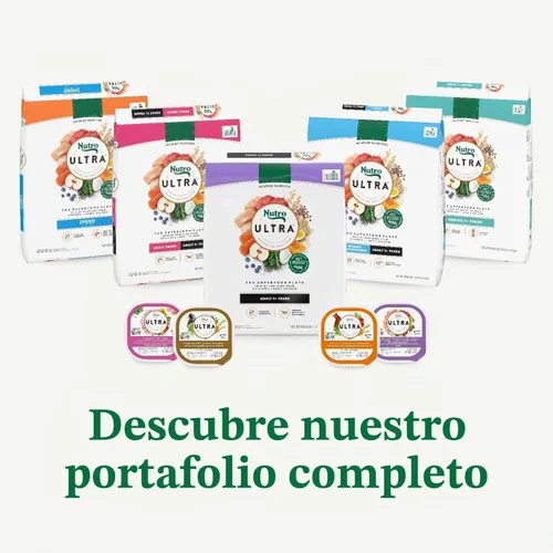 Vista 14 de Nutro Ultra High Protein - Alimento seco para perros mayores, pollo, cordero y salmón, 13 libras