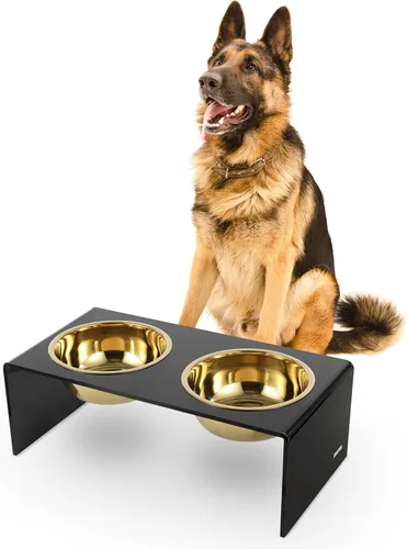 Vista 24 de DBL2000B Keaton - Comedero rectangular elevado moderno de lucita para mascotas de 5 pulgadas, tamaño pequeño/mediano, con 2 cuencos de acero