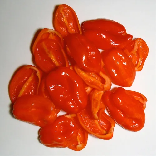 Vista 2 de Semillas de Chile Naranja Habanero