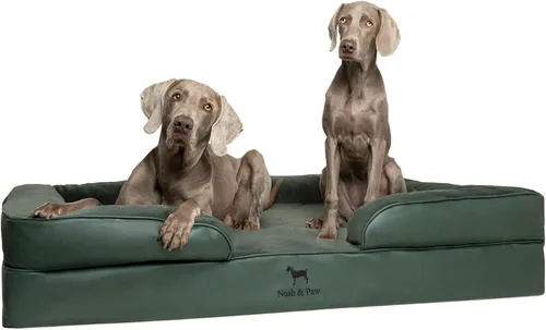Vista 11 de NOAH & PAW Cama para perros pequeños, 20 x 15 x 8 pulgadas, cama para gatos de interior, espuma viscoelástica ortopédica de cáscara de huevo