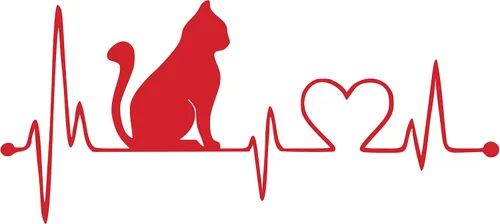 Vista 7 de JMM Industries - Pegatina de vinilo troquelada para parachoques de coche, diseño de corazón de gato, calidad premium, resistente a los rayos UV