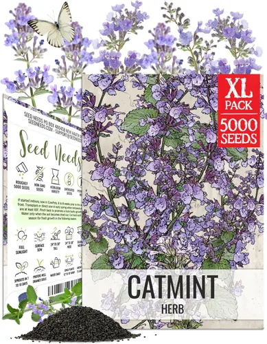 Vista 13 de Seed Needs Semillas de albahaca para plantar hierbas de albahaca tailandesa, reliquia sin OMG y sin tratar, cultiva un jardín de hierbas culinarias