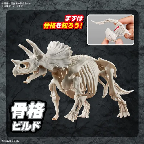 Vista 4 de Bandai Hobby - Plannosaurus - #02 Triceratops, kit de modelo de dinosaurio Bandai Spirits