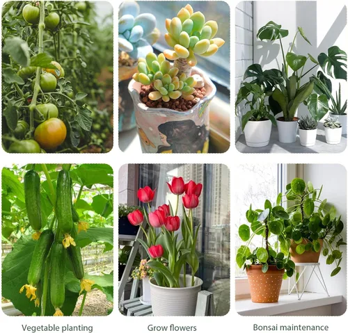 Vista 6 de Paquete de 5 soportes apilables para plantas Monstera, estacas de soporte para plantas de jardín para uso de plantas de interior y exterior, estacas