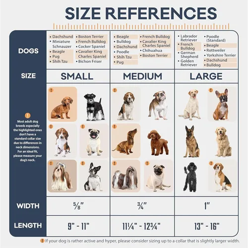 Vista 2 de Filbert Collar de cuero para perro, collar de cuero genuino para perros pequeños, acolchado de lujo, fuerte, ajustable para todas las razas, hebilla