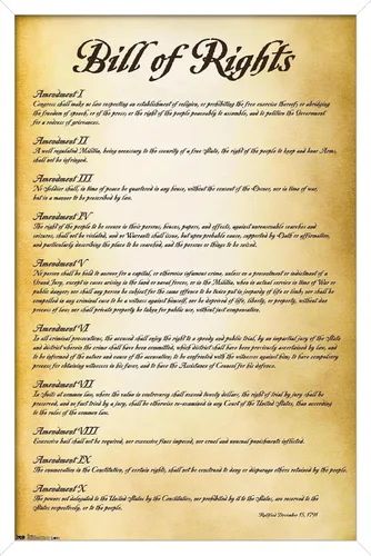 Vista 13 de Trends International The United States of America - Póster de pared de Carta de Derechos, 14.725 x 22.375 pulgadas, versión enmarcada de madera