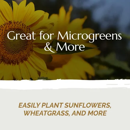 Vista 5 de Chanvra Grow Microgreens - Tapete de cultivo natural para kits de brotación de cultivo, almohadillas de cáñamo hidropónicas, tapete de cultivo