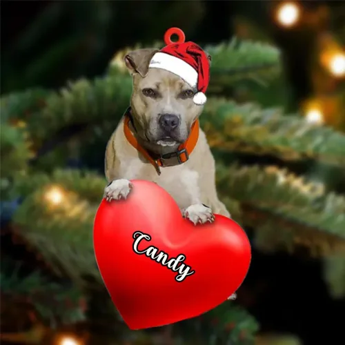 Vista 157 de Adornos de Navidad personalizados para perros, nombre personalizado, adorno de Malamute de Alaska, adornos acrílicos, regalos de Navidad, amantes