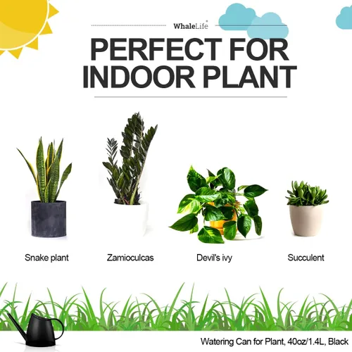 Vista 2 de WhaleLife Regadera interior para plantas de bonsái de casa (1.4L, negro)