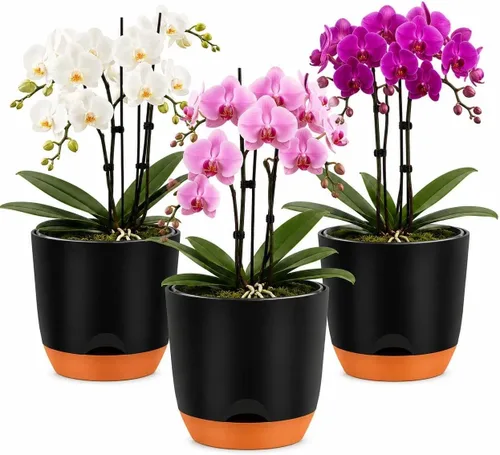 Vista 41 de QCQHDU 2 Pack 5.7 Inch Orchid Pots with Holes for Repotting, Double-Layer and Self Watering Orchid Pot with Good Air Circulation Verde