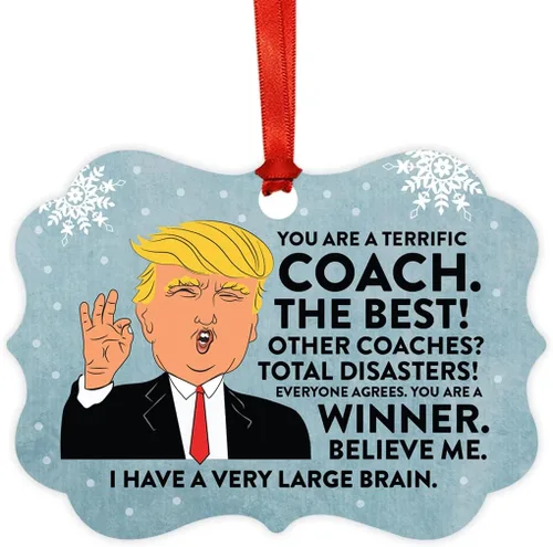 Vista 60 de Andaz Press Presidente Donald Trump Fancy Frame Recuerdo Adorno de Navidad Regalo de broma, excelente contador, 1 paquete, divertidas ideas