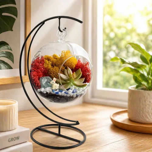 Vista 11 de Creations by Nathalie Kit de bricolaje de terrario cáliz de 6" con plantas vivas - Construye tu propio terrario de vidrio para adultos y niños