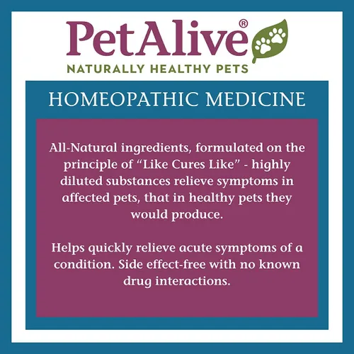 Vista 6 de PetAlive - Paquete combinado respiratorio para mascotas – Todos los remedios homeopáticos naturales alivian los síntomas de los senos paranasales