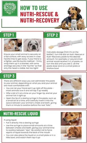 Vista 7 de Small Pet Select Nutri-Rescue (nutrición rápida para mantener el tracto gastrointestinal en movimiento) (8 onzas líquidas)
