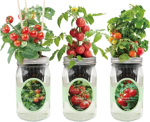 Vista 12 de Kit de cultivo de hierbas hidropónicas, tarro de masón de riego automático para jardín, kit de inicio de jardín de hierbas para interiores, jardín