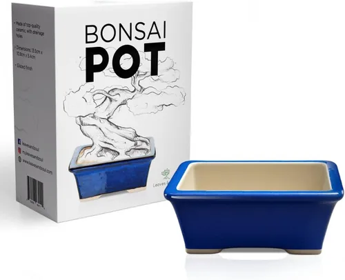 Vista 10 de Maceta para bonsái de cerámica esmaltada, maceta de cerámica para suculentas y plantas pequeñas, maceta rectangular negra perfecta para jardines