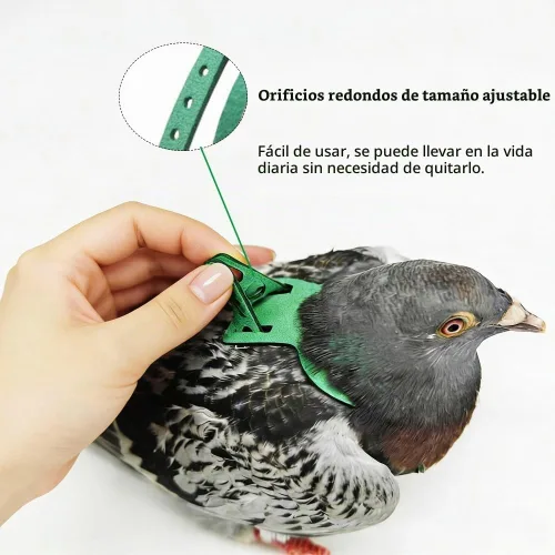 Vista 5 de Juego de arnés ajustable y correa para pájaros pequeños, apto para periquitos, conures, cacatúas, mejillas verdes, loros cuáqueros (verde, XS) 6350-6