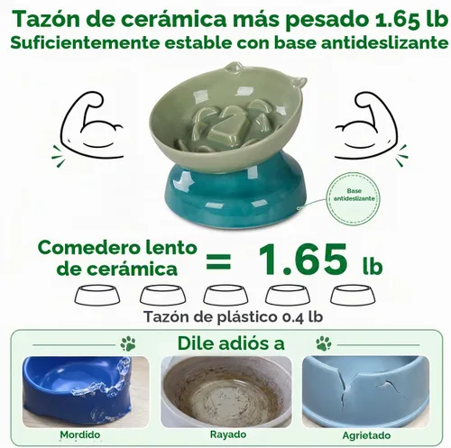 Vista 5 de Cuenco de cerámica para gatos de alimentación lenta Verde