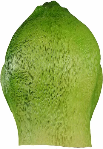 Vista 5 de Xiao Chou Ri Ji Máscara de látex de animales para fiesta de Halloween, diseño de pato divertido para adultos (verde)
