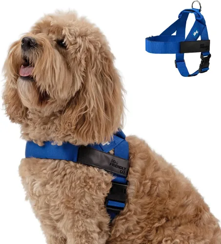 Vista 8 de Arnés para perro Dog Friendly Co Correas resistentes a rozaduras, cuello y pecho ajustables, y anillo en D resistente Resistente, cómodo, fácil