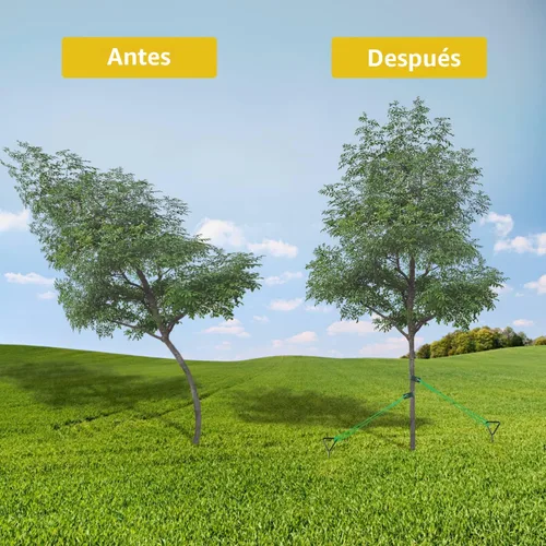 Vista 2 de Kit de estaca para árboles, estacas en espiral resistentes y soportes para enderezar árboles inclinados o jóvenes, protege de las inclemencias