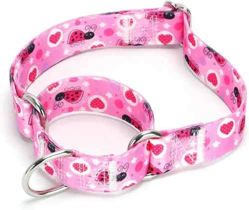 Vista 43 de Collar de perro de nailon resistente, collar ajustable de martingala para perros para caminar y entrenamiento para perros machos y hembras perros