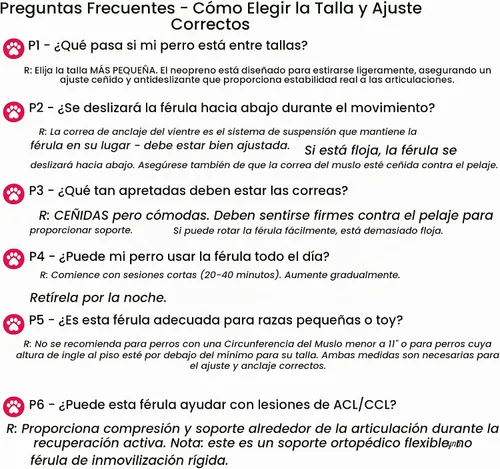 Vista 6 de Rodillera para perro para pierna trasera, pierna trasera desgarrada de ACL, rodilleras para perro para pierna trasera, soporte para pierna trasera