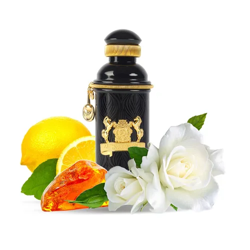 Vista 5 de Alexandre J Black Muscs Eau de Parfum Spray para mujer, 3.4 onzas