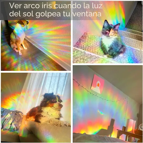 Vista 5 de Dwersty - Vinilo de privacidad arcoíris para ventana con línea de corte, adhesivos 3D, para vitrales, adhesivo estático, cubierta que bloquea