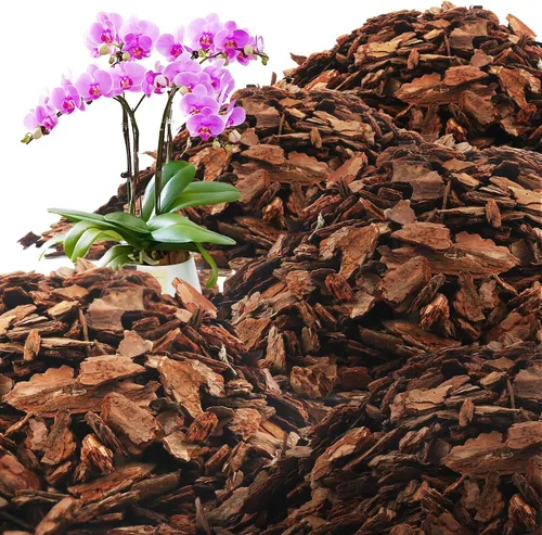 Vista 14 de AVALUTION Corteza para macetas de orquídeas: corteza de orquídea orgánica de 3 cuartos para plantas, todos los chips de madera de corteza de pino