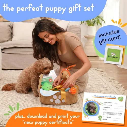 Vista 2 de Kit de iniciación para cachorros de alta calidad, cesta de regalo para cachorros con artículos esenciales, caja de juguetes, bandeja de golosinas