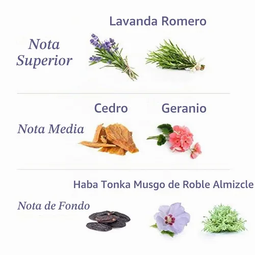 Vista 8 de Talco desodorante perfumado Yardley London con lavanda inglesa, polvo de talco 100gm, 3.5 onzas
