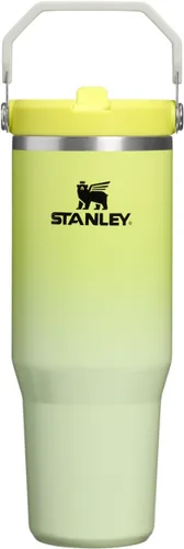 Vista 85 de STANLEY IceFlow 2.0 - Vaso con pajita, 14 onzas, color verde primavera