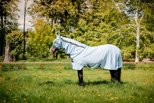 Vista 2 de Horseware Irlanda Irlanda Amigo Bug Alfombra Azureblue/Negro 81