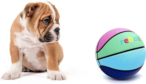 Vista 6 de Baloncesto de cuero y goma de diseño premium, para niños y jóvenes, tamaño 3/4/5/6/7 Color múltiple