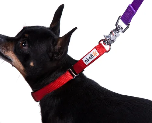 Vista 31 de GoGo Pet Products GoGo - Collar de perro Martingala de 3/4 pulgadas, mediano, color rosa Rosado