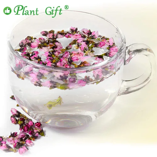 Vista 7 de Plant Gift 100% Té de flores de melocotón seco puro , flores de durazno 1.41 oz Sin OMG. Sin aditivos. Té de hierbas naturales flores de durazno