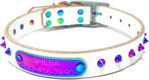 Vista 15 de Collar de perro de cuero con brida hecha a mano, grabado arco iris de acero inoxidable (negro)