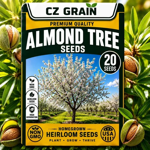 Vista 37 de CZ Grain Semillas para plantar, 40 pequeñas mezclas de calabaza