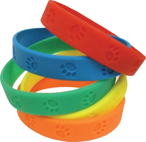 Vista 8 de Recursos creados por profesores Pulseras de características de personajes (6569)