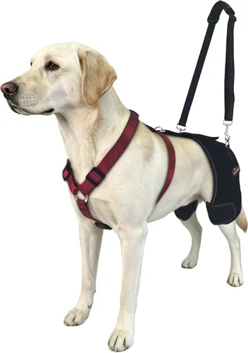 Vista 2 de Soporte de cadera transpirable para perros grandes, soporte ortopédico canino ajustable para displasia de cadera, perfecto para apoyar a