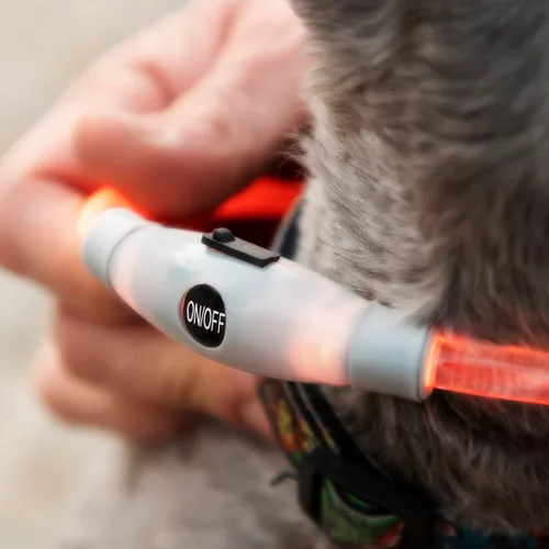 Vista 10 de Collar LED para Mascotas Petlux InnovaGoods