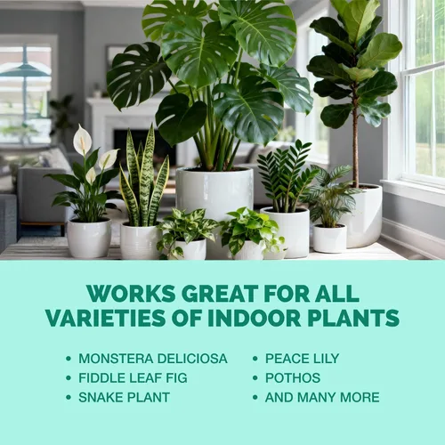 Vista 6 de Abono para Plantas de Interior - Fertilizante Líquido para Plantas de Interior y Plantas de Maceta, por TPS Plant Foods, 8 oz (250 mL)