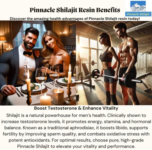 Vista 4 de Pinnacle - Resina Shilajit de grado dorado de alta calidad, 100% Shilajit del Himalaya de Gilgit Baltistan, potente energía natural, enfoque y apoyo