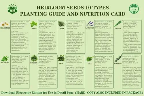 Vista 3 de Kit de cultivo de hierbas, 10 semillas de hierbas, kit de iniciación de jardín, juego completo de cultivo de plantas en maceta que incluye macetas