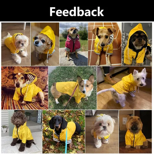Vista 5 de Chaqueta impermeable para perros, impermeable, para razas pequeñas y medianas, cierre de cremallera, bolsillo de almacenamiento, agujero para arnés