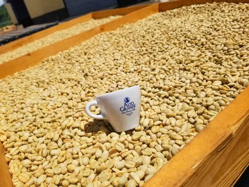 Vista 4 de Alto Grande Espresso 18 unidades y Yaucono Dark Espresso 18 unidades paquete variado compatible con máquinas Nespresso, 36 cápsulas de una sola