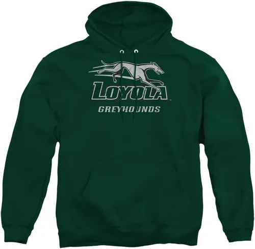 Vista 115 de Distressed College Primary Logo Adult Pullover Hoodie Collection 1 Universidad Estatal de Albany