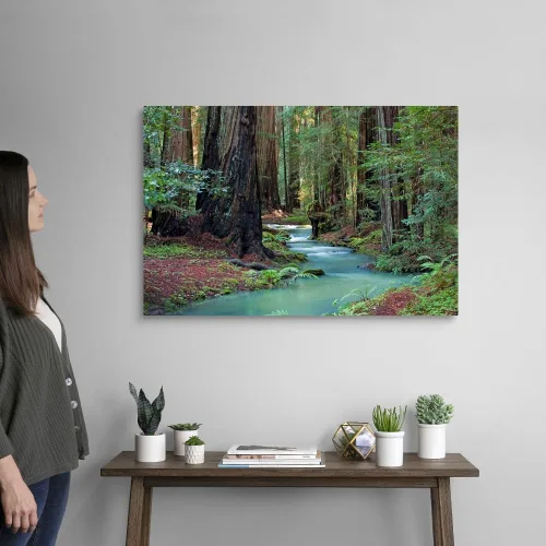 Vista 2 de Redwood Forest II - Lienzo decorativo para pared, diseño de árbol 2-Lienzo envuelto
