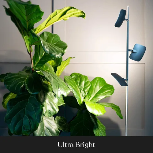 Vista 7 de Brightech Tree - Lámpara de pie con 3 luces regulables de 3 pasos con interruptor táctil regulable - Tecnología LED avanzada con 23 vatios